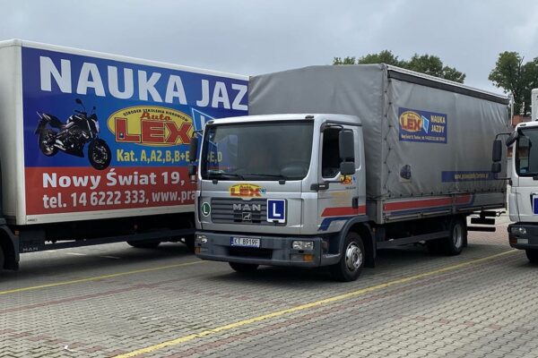 Instruktorzy nauki jazdy